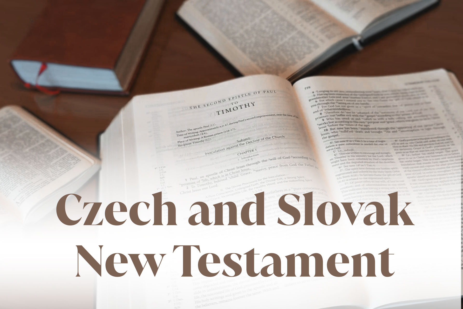 Czech and Slovak New Testament